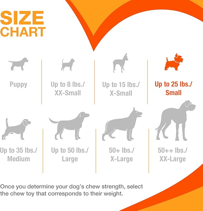 Nylabone Original Bone Flexi Chew Toy Value Pack - Image 5