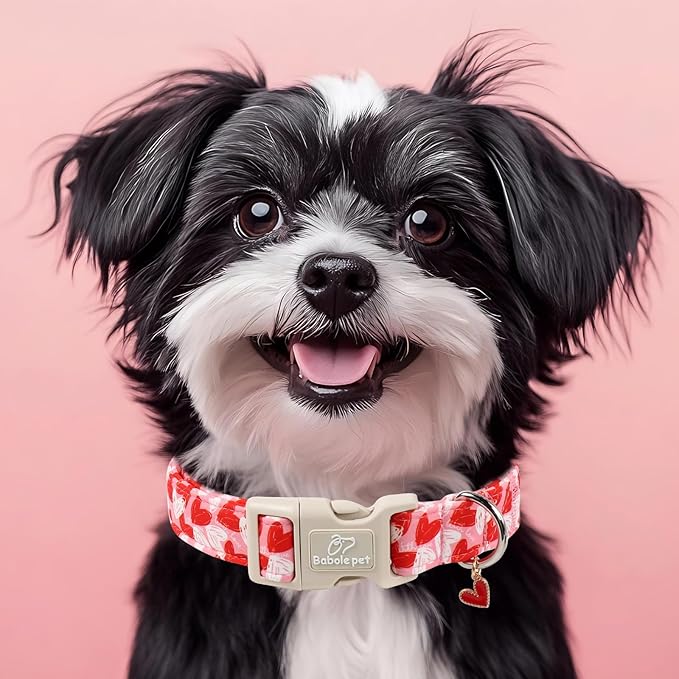 Valentines Dog Collar for Giant Large Dogs - Image 7