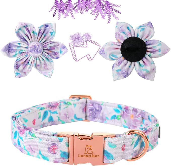 Lionheart Glory Purple Dog Collar - Image 3