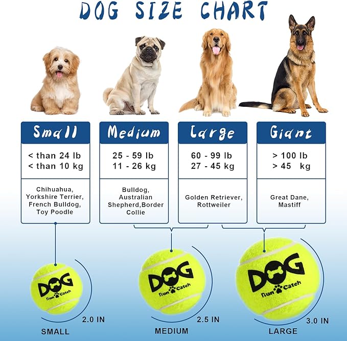 Squeaky Tennis Balls for Dogs - Image 8