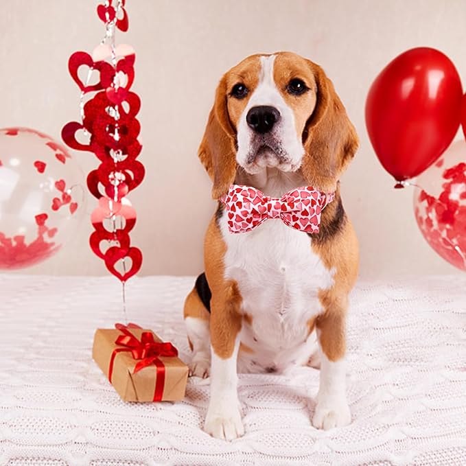 Lionheart glory Dog Bow Collar Valentine's Day Dog Collar - Image 4
