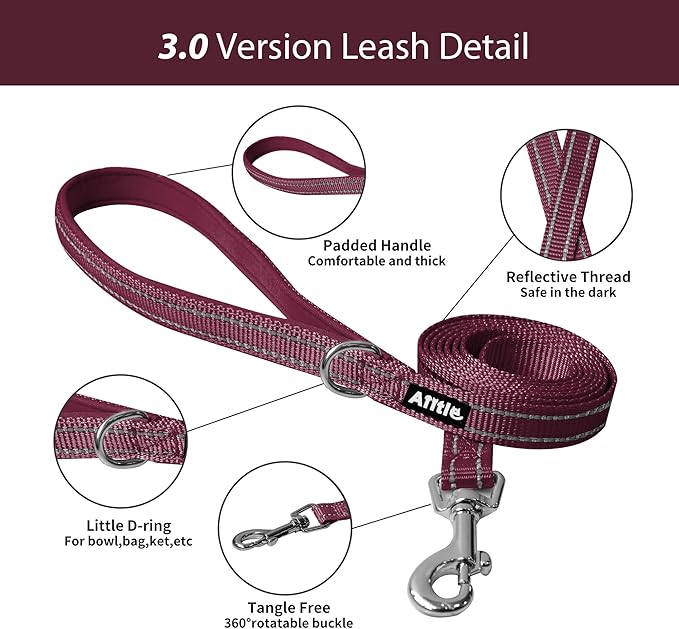 AIITLE Step in Dog Harness and Leash Set - Image 5