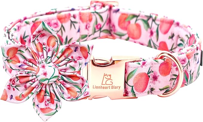 Lionheart Glory Pink Peach Flower Dog Collar by LionheartGlory