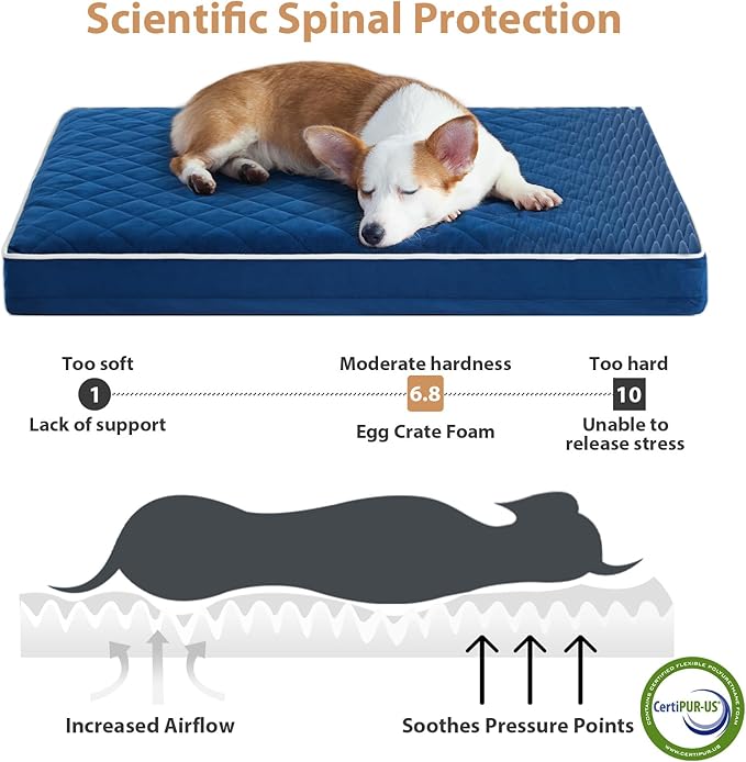 WNPETHOME Orthopedic XXL Dog Beds Large Sized Dog, Waterproof Extra Large Dogs - Image 3