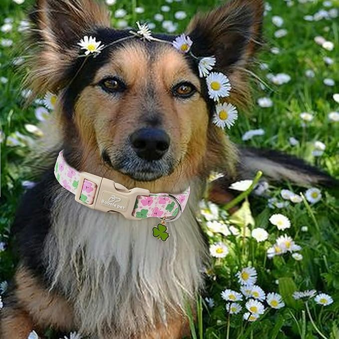 St Patricks Day Dog Collar for Giant Large Dogs - Image 2