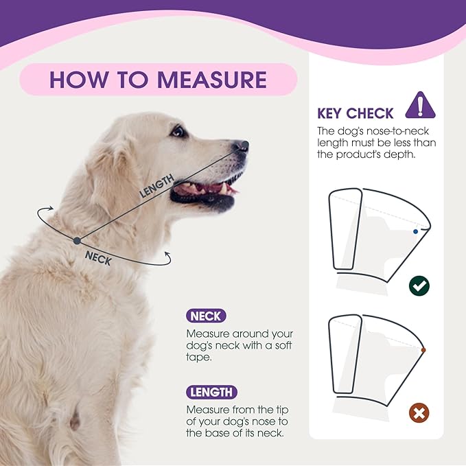 Dog Cone Collar After Surgery, Soft Cone - Image 3