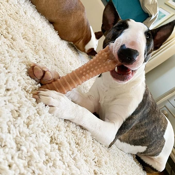 Nylabone Textured Knuckle Bone Power Chew Toy - Image 4