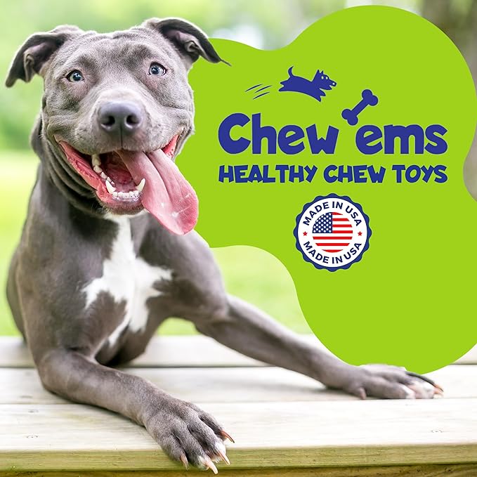 Chew’EMS X Bone Dog Chew Toy for Aggressive Chewers – Long-Lasting Beef Flavor - Image 6