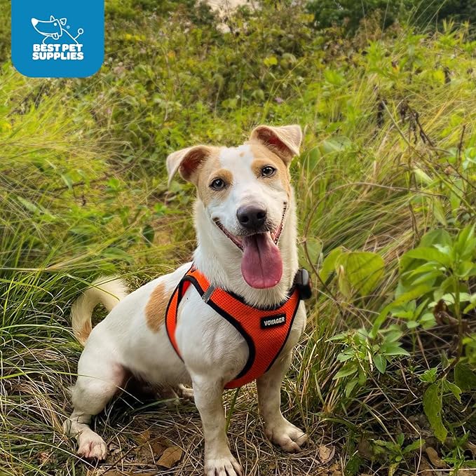 Best Pet Supplies Voyager Step-in Air Harness - Image 8