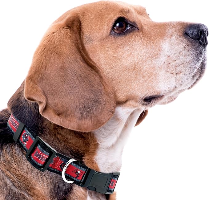 Pets First NFL Tampa Bay Buccaneers Licensed PET COLLAR, Medium - Image 4