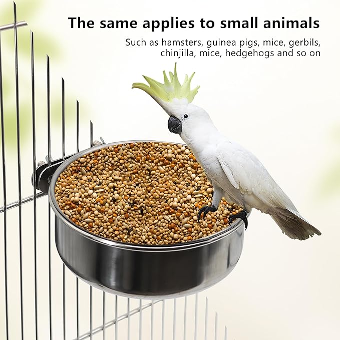 Medium+Large Bird Feeding Dish Cups, Parrot Food Bowl Cage - Image 5