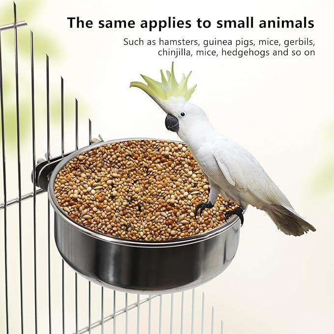2 Pcs Small Bird Feeding Dish Cups, Parrot Food Bowl Cage - Image 3