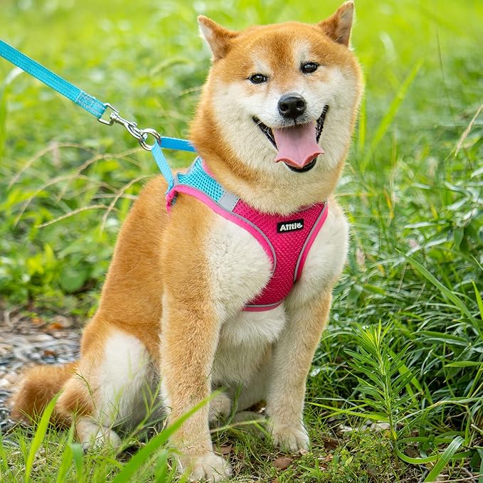 AIITLE Escape Proof Dog Harness - Image 4