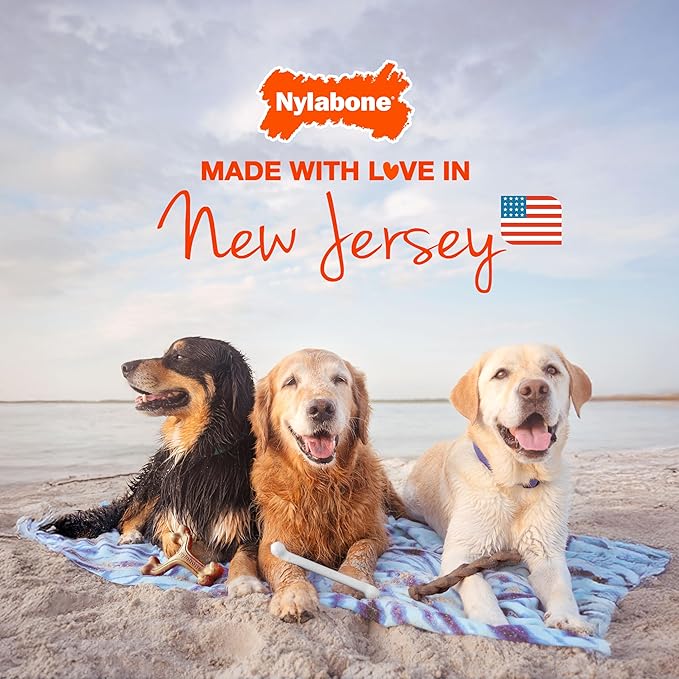 Nylabone Customer Favorites Power Chew Toy Bundle - Image 6