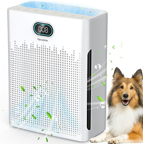 Air Purifiers for Home Cover Up to 2200 Ft², HEPA Air Purifier by Unknown