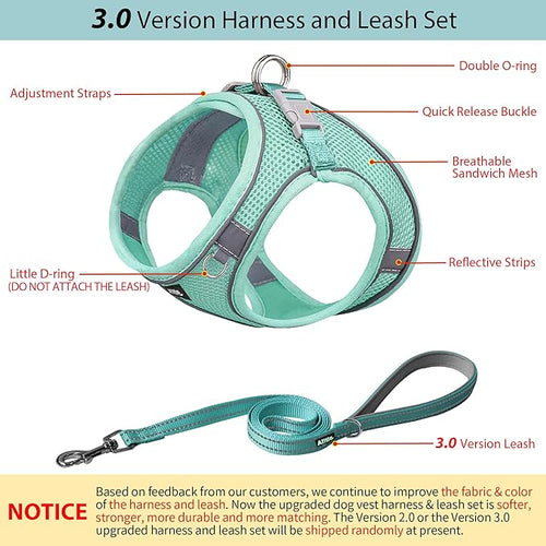 AIITLE No Pull Dog Harness and Leash Set, Step in Adjustable Dog Harness - Image 2