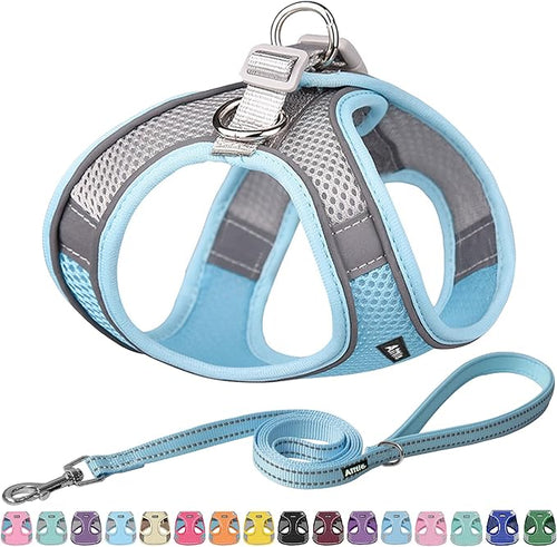 AIITLE Easy Walk Dog Harness and Leash Set by AIITLE-FORPETSBETTERLIFE