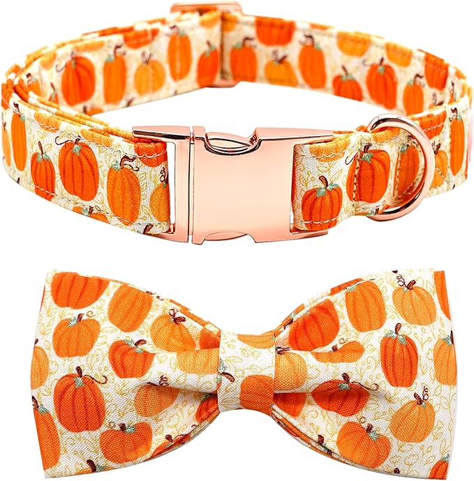 Dog Collars - Halloween Pumpkin Bowtie Dog Collar Gift Soft Bow Collar Pet by BoboRainbow