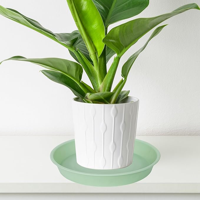 6 Pack Plastic Plant Saucer Water Drip Tray, 4 5 6 7 8 9 10 11 12 13 15 17 19 - Image 5