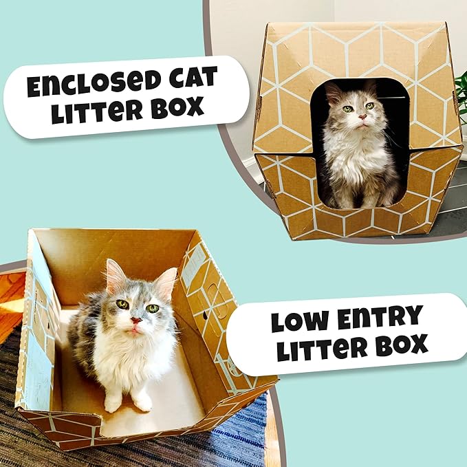 Cats Desire Disposable Litter Box No Plastic Solution w/ Low Entry & Enclosed - Image 5