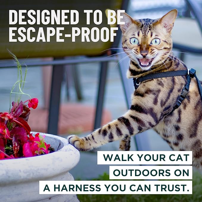 Houdini™ Escape Proof Cat Harness and Leash Set by OutdoorBengal – Turquoise - Image 2