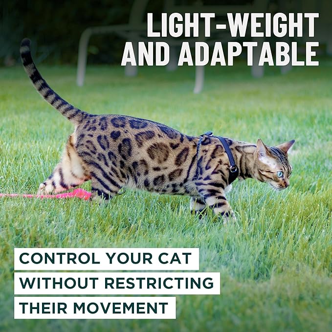 Houdini™ Escape Proof Kitten Harness and Leash Set by OutdoorBengal – Orange - Image 7