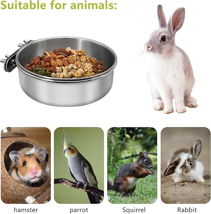 Small+Medium Bird Feeding Dish Cups, Parrot Food Bowl Cage - Image 3