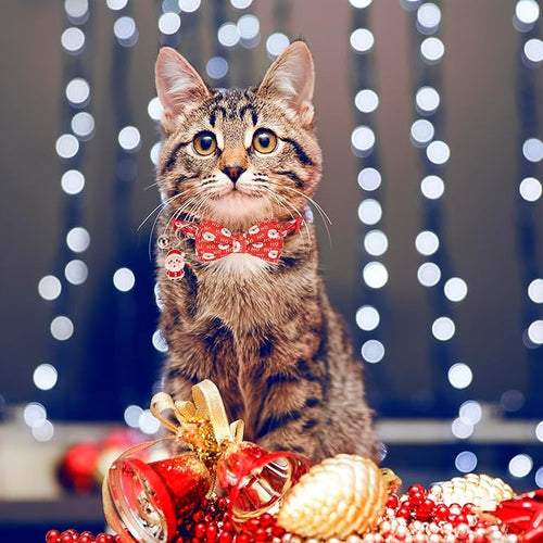 ADOGGYGO Christmas Cat Collar - Image 2