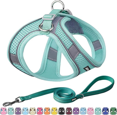 AIITLE Comfortable Dog Harness and Leash Set by AIITLE-FORPETSBETTERLIFE