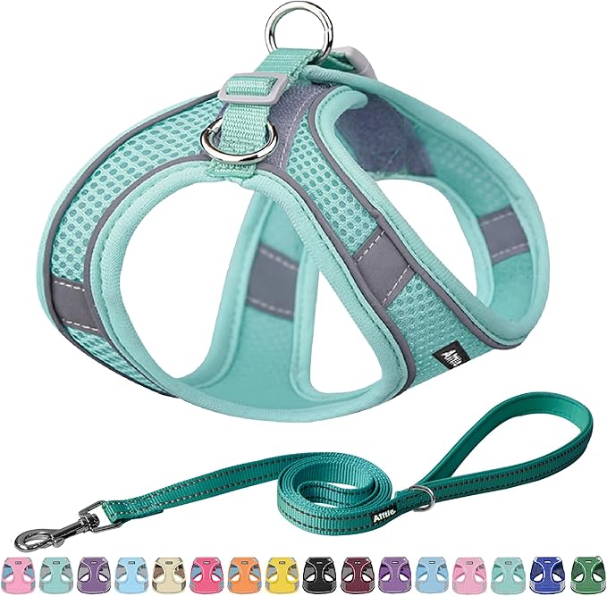 AIITLE Step in Dog Harness and Leash Set by AIITLE-FORPETSBETTERLIFE