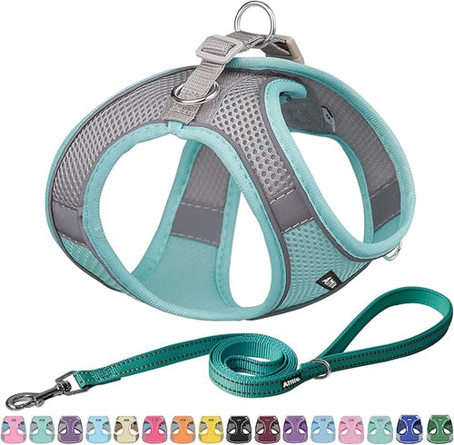 AIITLE No Pull Dog Harness and Leash Set, Step in Adjustable Dog Harness by AIITLE-FORPETSBETTERLIFE