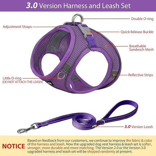 AIITLE Small Harness for Puppy - Image 2