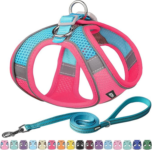 AIITLE Easy Walk Dog Harness and Leash Set by AIITLE-FORPETSBETTERLIFE
