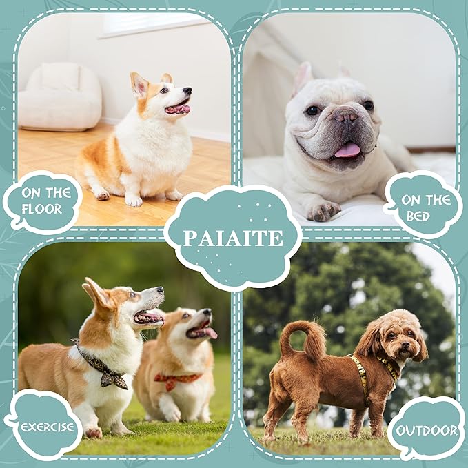 Cozy and Functional Dog Shirts for Small Puppies: Stretchable Blue Attire - Image 2