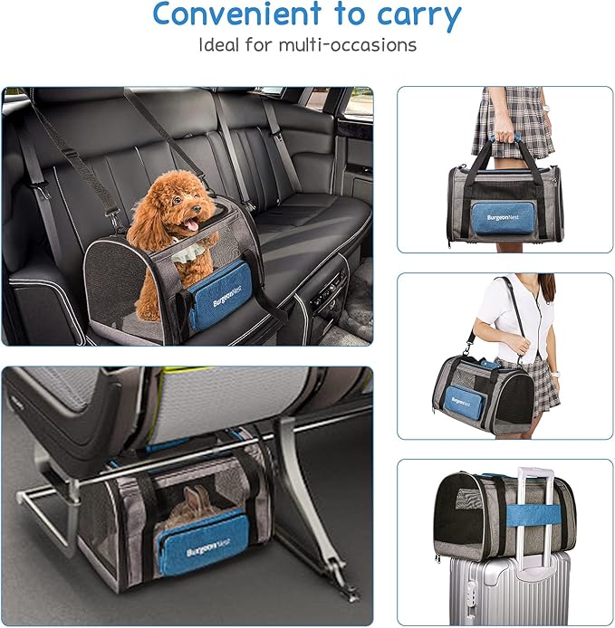 BurgeonNest Cat Carrier for Large Cats 20 lbs, Medium Pet Under 25 lbs - Image 7