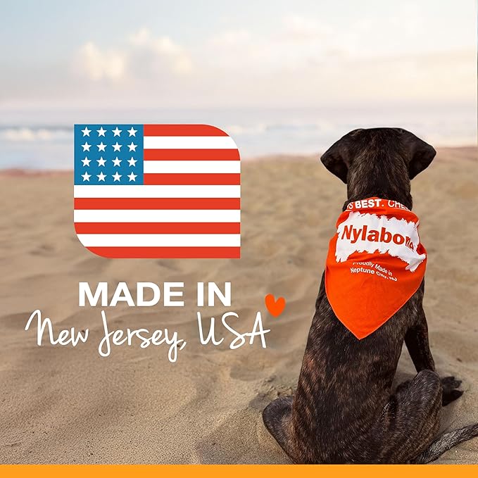 Nylabone Healthy Edibles Natural Dog Chews, Long Lasting Bones - Image 10