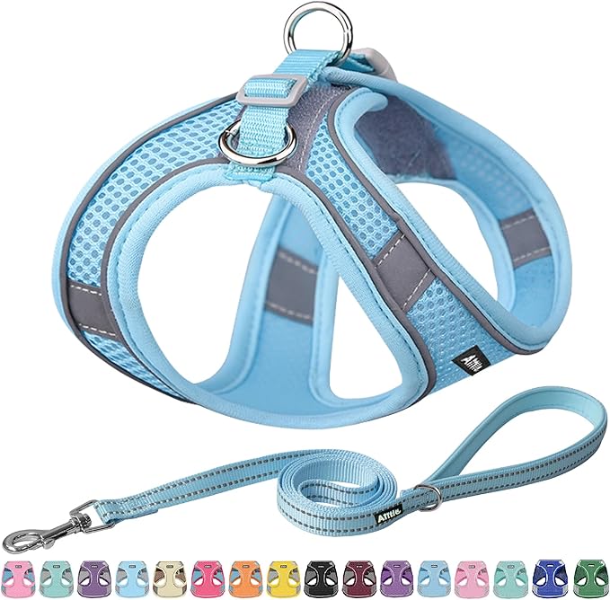 AIITLE Step in Dog Harness and Leash Set by AIITLE-FORPETSBETTERLIFE