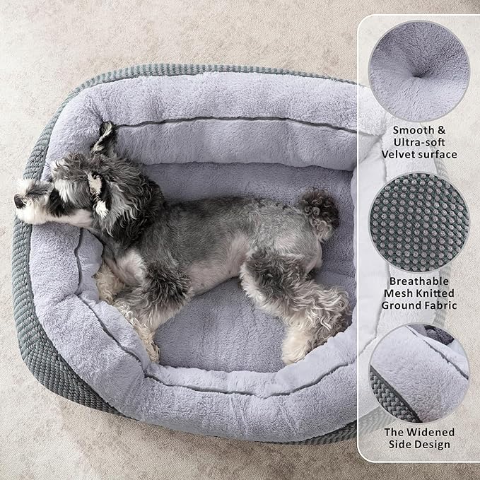INVENHO Dog Bed for Small Dogs - Image 2