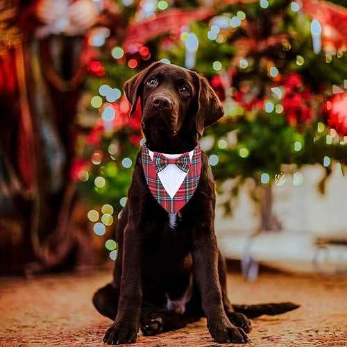 ADOGGYGO Christmas Dog Tuxedo Bandana, Adjustable Christmas Costume - Image 2