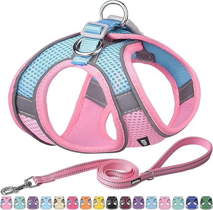 AIITLE No Pull Dog Harness and Leash Set, Step in Adjustable Dog Harness by AIITLE-FORPETSBETTERLIFE