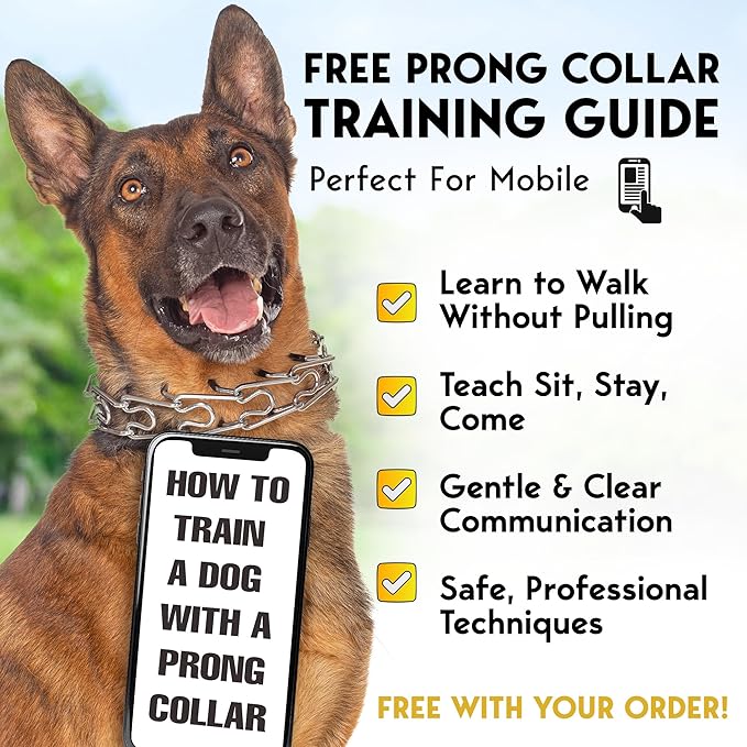 PetJett Choke Collar for Dogs Training Collar Adjustable Prong Collar for Dog - Image 7