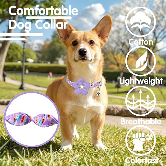 Large Dog Collar with Flower, Dog Collars - Image 4