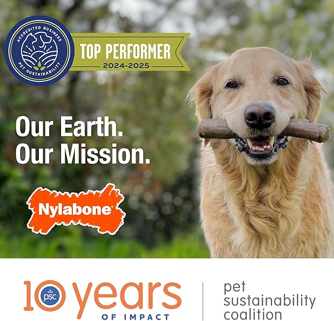 Nylabone Limited Edition 70th Birthday Donut Power Chew Toy - Image 12