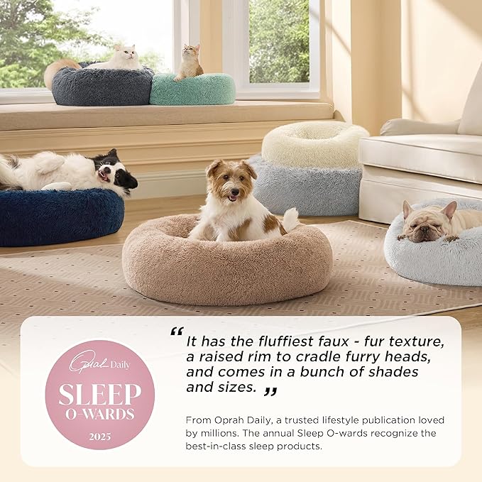 Bedsure Calming Dog Bed for Small Medium Dogs - Image 2