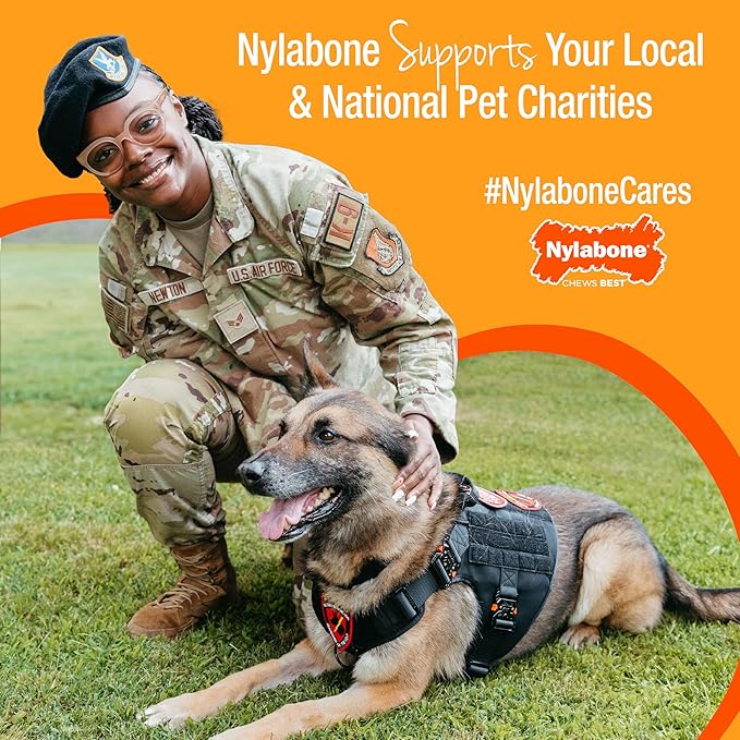 Nylabone Real Wood Stick Toy Strong Chew Toy - Image 7
