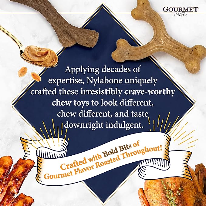 Nylabone Gourmet Style Wishbone Strong Chew Toy - Image 7